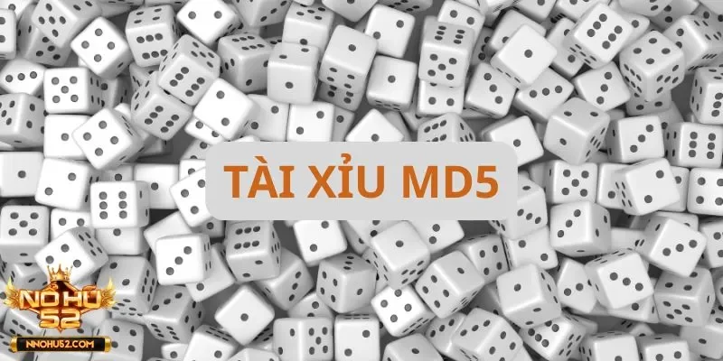 Những thông tin mới nhất về Tài xỉu MD5